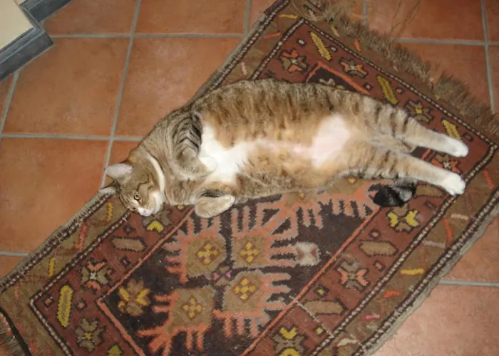 La Campana D'oro 2* Beverino